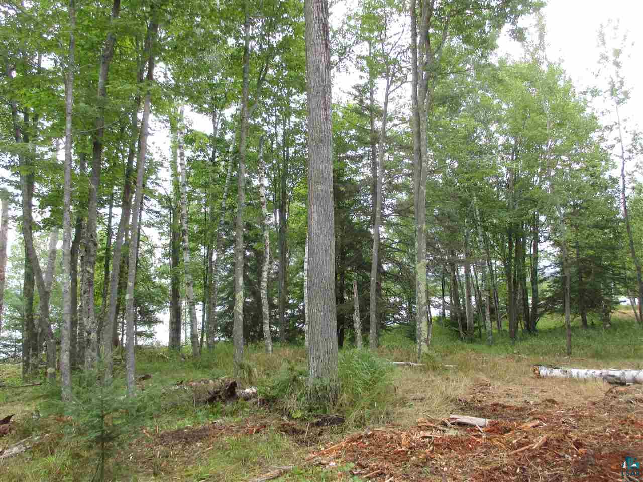 Xx East Romans Point Road Herbster, WI 54844 - Photo 7 of 17 Gallery Image 7