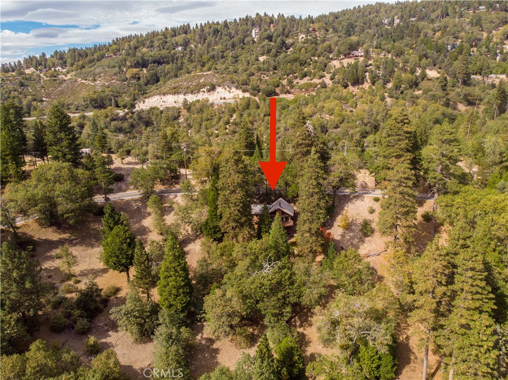 24 Fredalba Road Running Springs, CA 92382 - Photo 9 of 34 Gallery Image 9