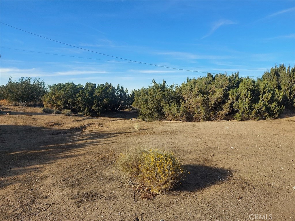 10521 Hollister Road, Unit 269 Oak Hills, CA 92344 - Photo 30 of 37