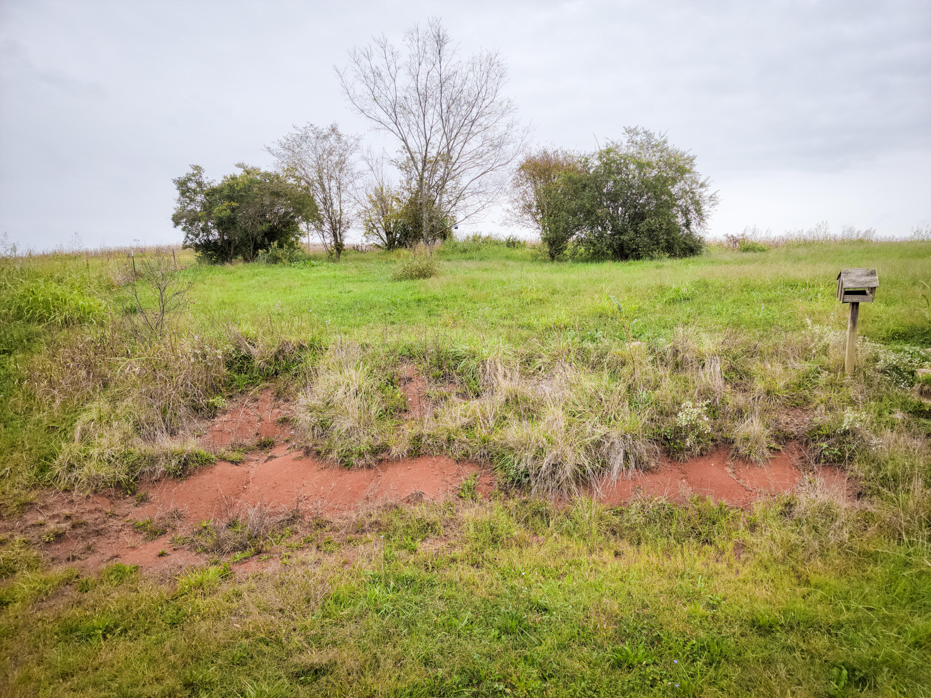 436 Bowmantown Road Limestone, TN 37681 - Photo 40 of 42 20211005_132940
