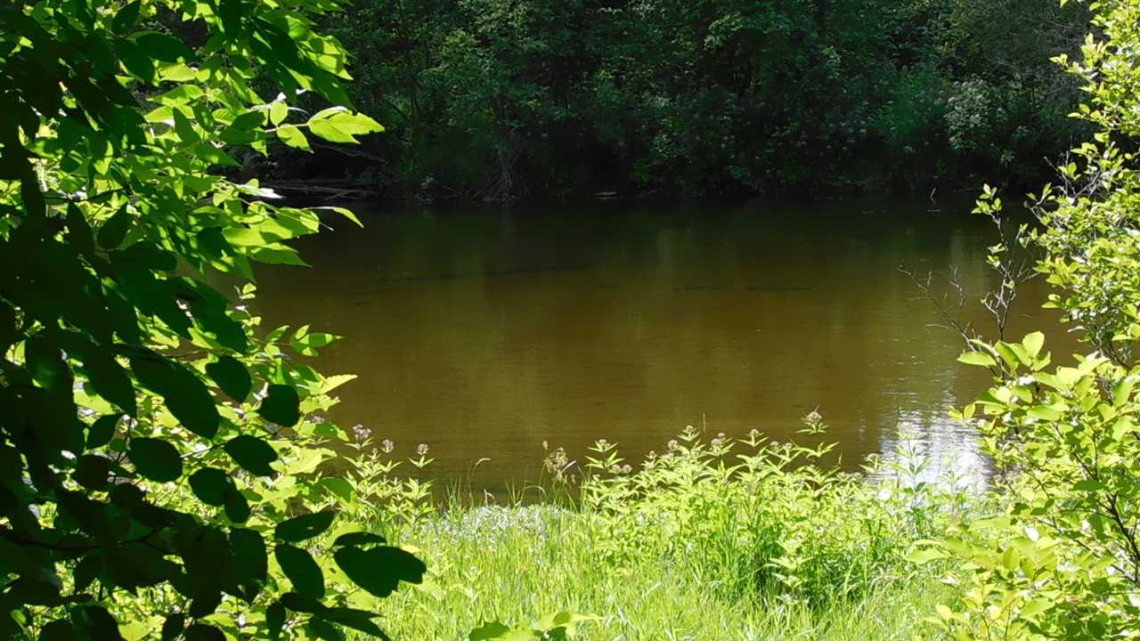 9834 Dutch John Road Fife Lake, MI 49633 - Photo 40 of 43 1878107-39.JPG