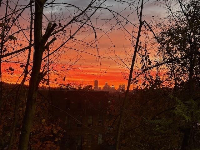 417 Alexander Street McKees Rocks, PA 15136 - Photo 20 of 21 a view of mountain view with lots of trees
