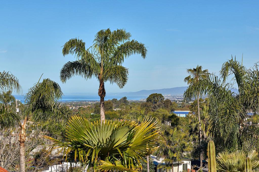 1068 Passiflora Avenue Encinitas, CA 92024 - Photo 29 of 38