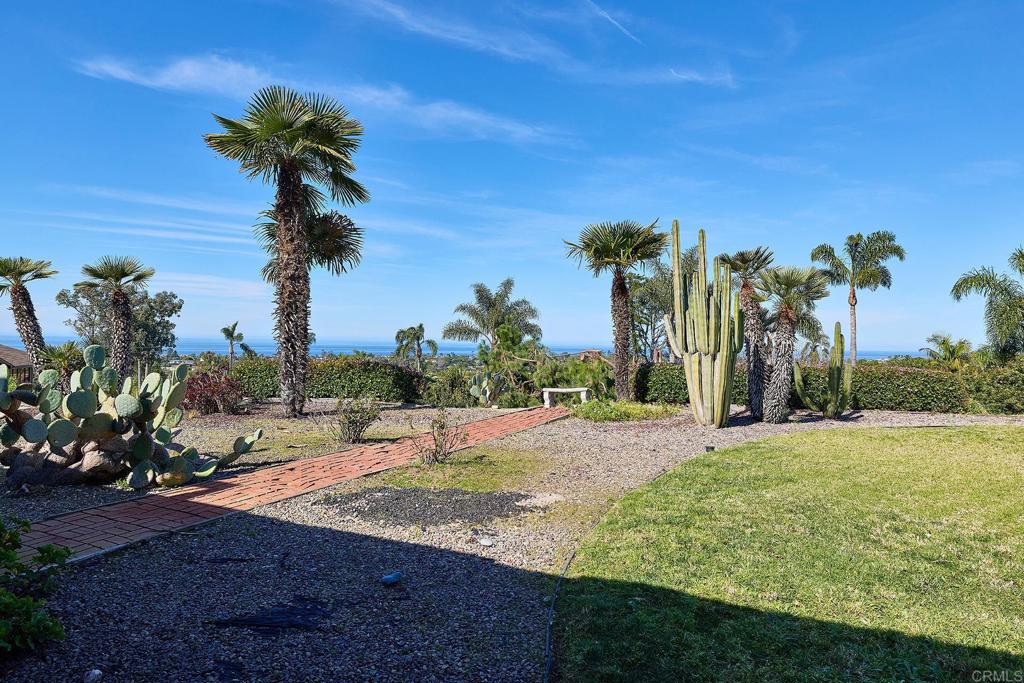 1068 Passiflora Avenue Encinitas, CA 92024 - Photo 3 of 38 a view of a yard with palm tree