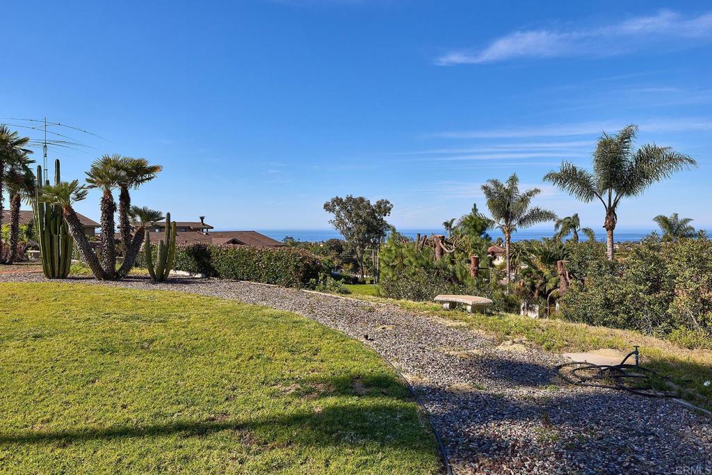 1068 Passiflora Avenue Encinitas, CA 92024 - Photo 35 of 38 a big yard with lots of green space and palm trees