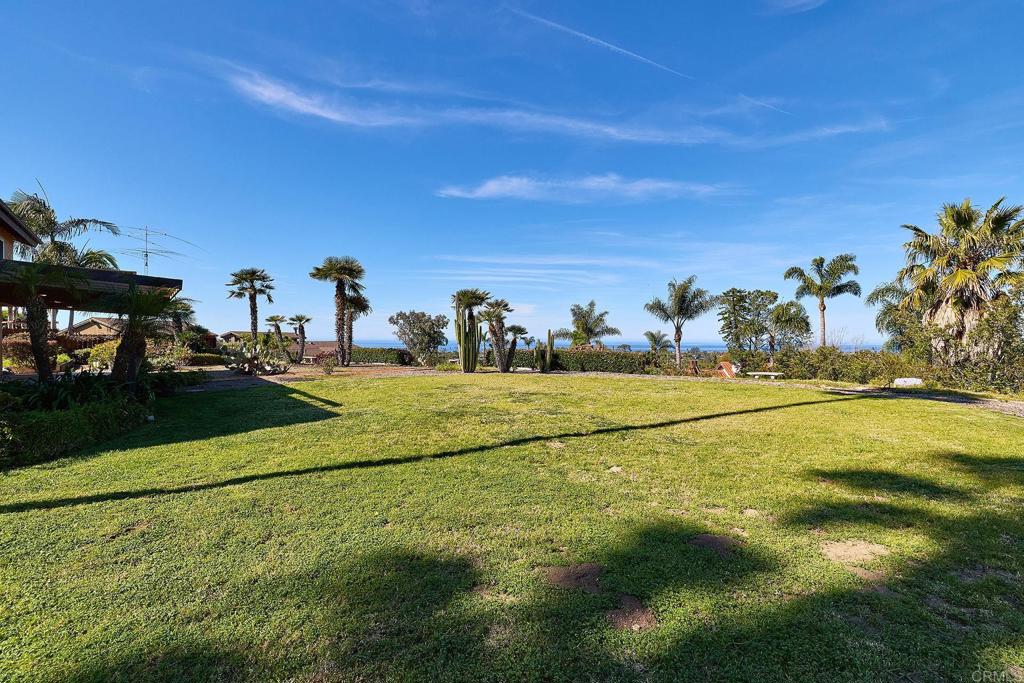 1068 Passiflora Avenue Encinitas, CA 92024 - Photo 36 of 38 a view of an outdoor space