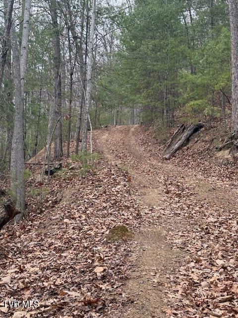 Tbd Ray Kegley Road Erwin, TN 37650 - Photo 2 of 10 IMG_6685