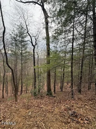 $232,500 | Tbd Ray Kegley Road, Erwin, TN 37650