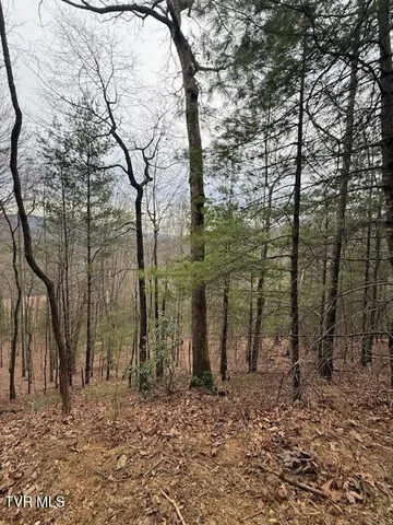 $250,000 | Tbd Ray Kegley Road, Erwin, TN 37650