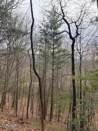 $232,500 | Tbd Ray Kegley Road, Erwin, TN 37650