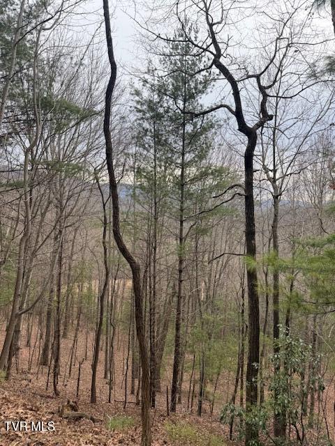 Tbd Ray Kegley Road Erwin, TN 37650 - Photo 4 of 10 IMG_6683