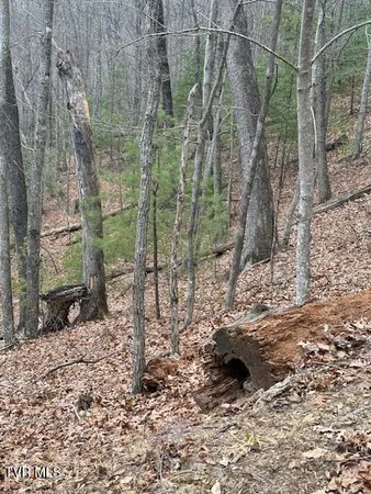 $232,500 | Tbd Ray Kegley Road, Erwin, TN 37650