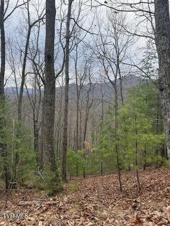 $232,500 | Tbd Ray Kegley Road, Erwin, TN 37650