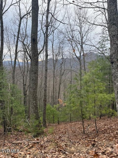 Tbd Ray Kegley Road Erwin, TN 37650 - Photo 6 of 10 IMG_6688