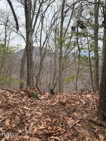 $250,000 | Tbd Ray Kegley Road, Erwin, TN 37650