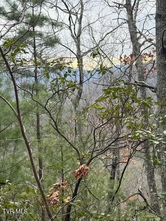 $232,500 | Tbd Ray Kegley Road, Erwin, TN 37650