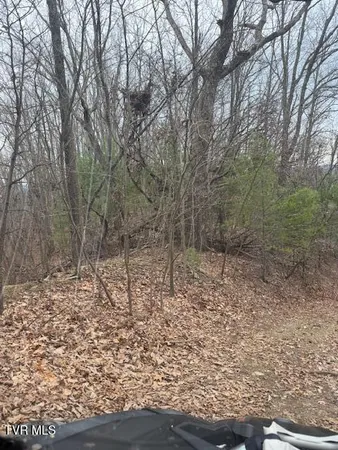 $232,500 | Tbd Ray Kegley Road, Erwin, TN 37650