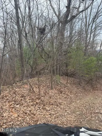 $250,000 | Tbd Ray Kegley Road, Erwin, TN 37650
