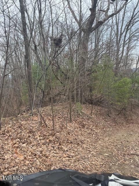 Tbd Ray Kegley Road Erwin, TN 37650 - Photo 9 of 10 IMG_6691