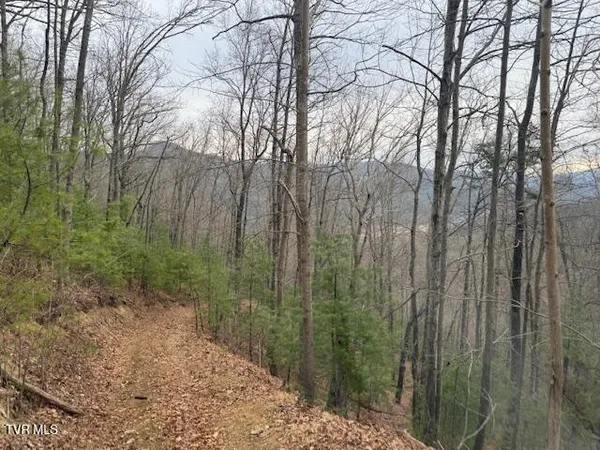$232,500 | Tbd Ray Kegley Road, Erwin, TN 37650