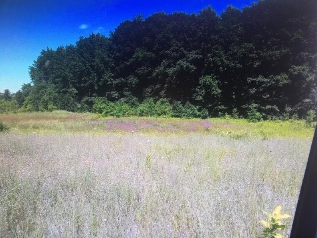 11476 Meadow Oak Court Northeast Greenville, MI 48838 - Photo 1 of 2