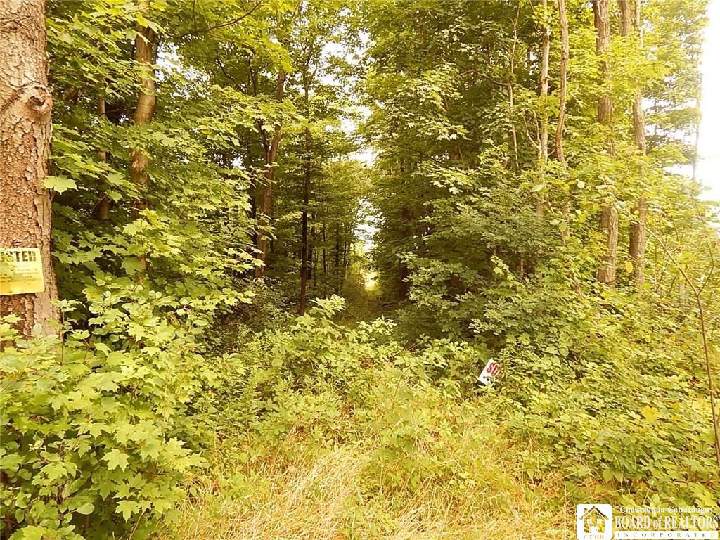 0 Webster Road Brocton, NY 14716 - Photo 1 of 1