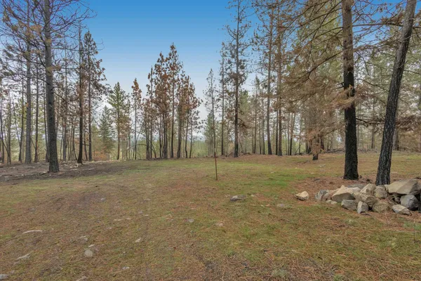$80,000 | 15817 Coyote Ridge Ln Ford, Ford, WA 99013