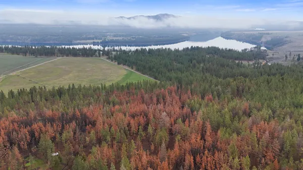 $80,000 | 15817 Coyote Ridge Ln Ford, Ford, WA 99013