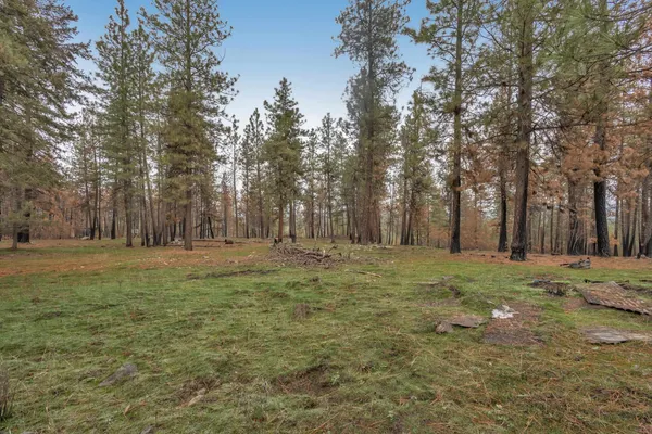$80,000 | 15817 Coyote Ridge Ln Ford, Ford, WA 99013