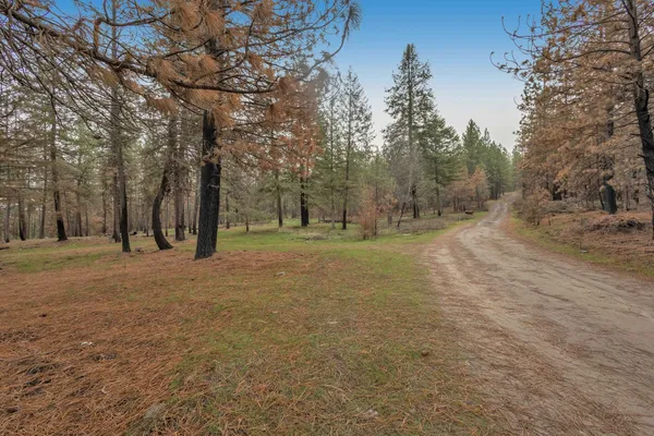 $80,000 | 15817 Coyote Ridge Ln Ford, Ford, WA 99013