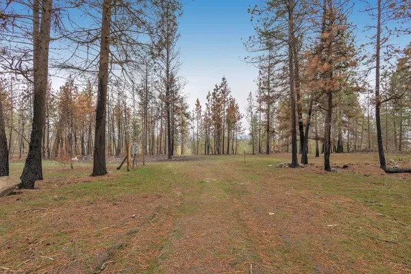 $80,000 | 15817 Coyote Ridge Ln Ford, Ford, WA 99013