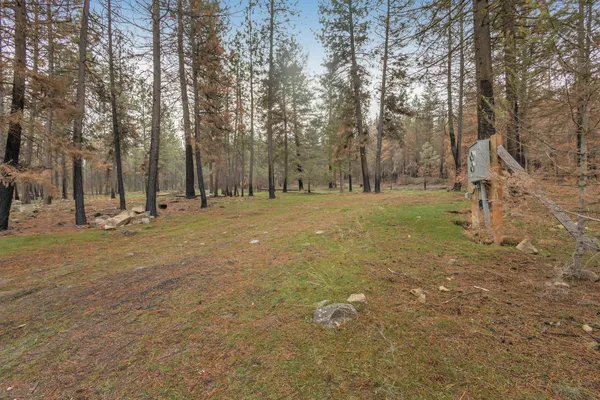 $80,000 | 15817 Coyote Ridge Ln Ford, Ford, WA 99013