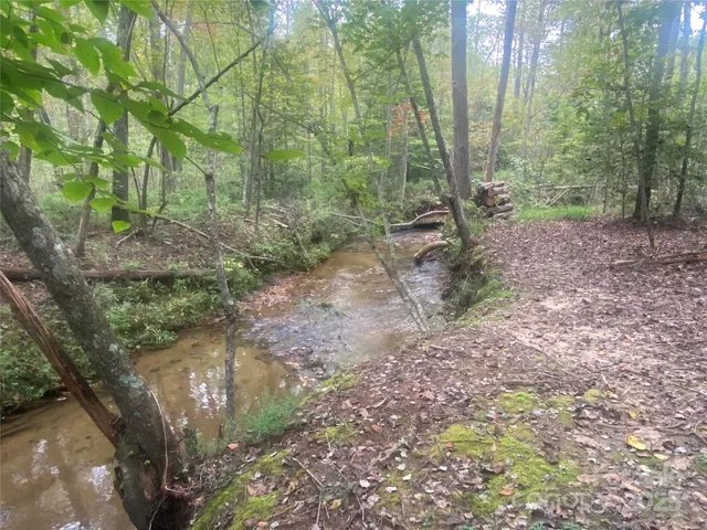 a view of a forest filled with trees
