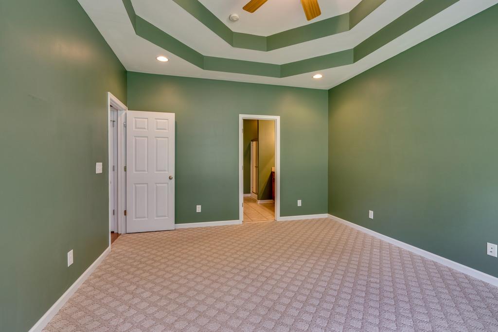 3853 Taylors Store Road Hampshire, TN 38461 - Photo 19 of 30 ANOTHER VIEW OF MASTER BEDROOM WITH TREY CEILING