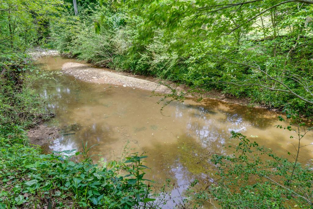 3853 Taylors Store Road Hampshire, TN 38461 - Photo 30 of 30 CREEK THAT RUNS DOWN THE BACK OF THE PROPERTY