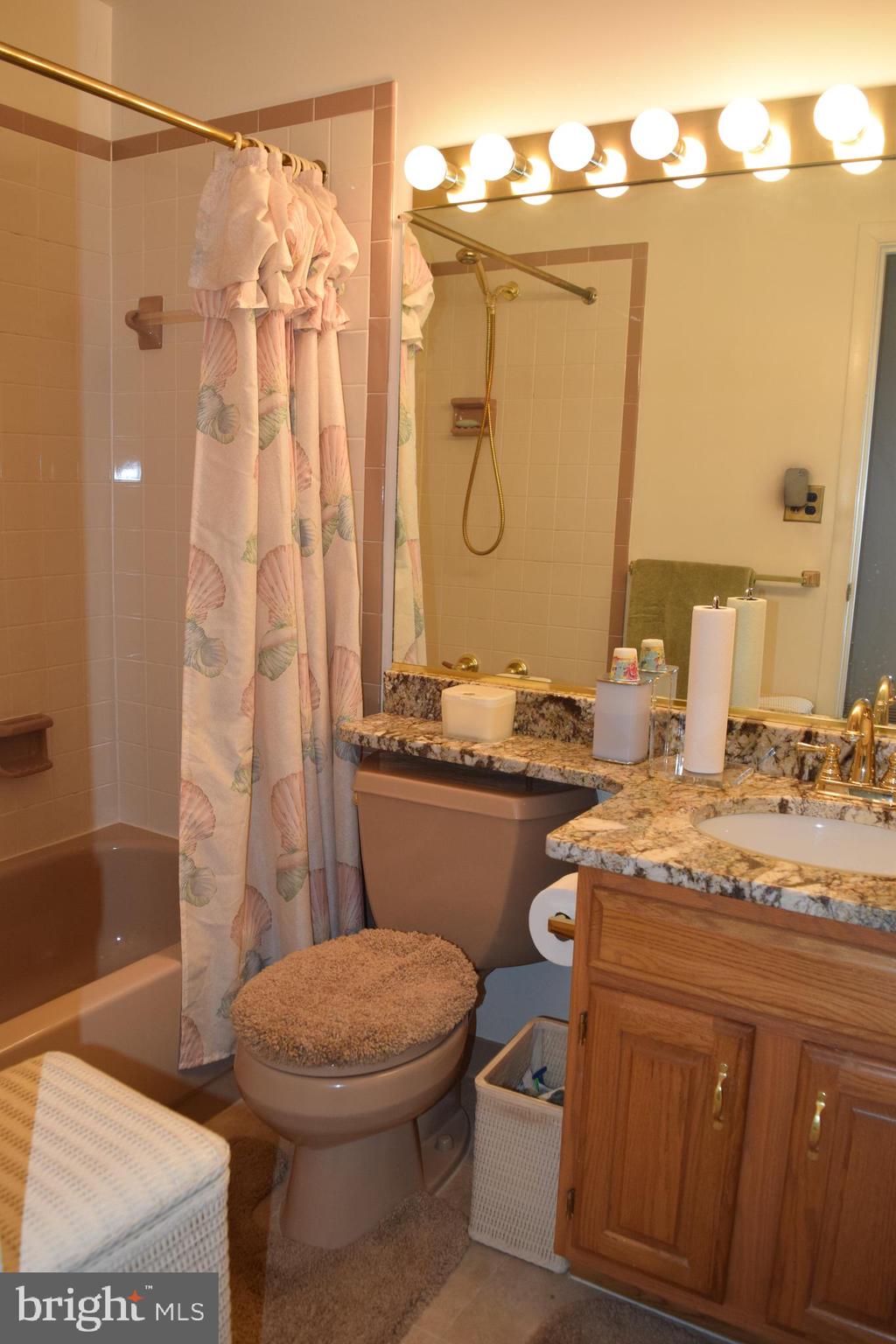 2123 Young Street Southeast, Unit 203 Washington, DC 20020 - Photo 10 of 10 a bathroom with a granite countertop sink a toilet and shower
