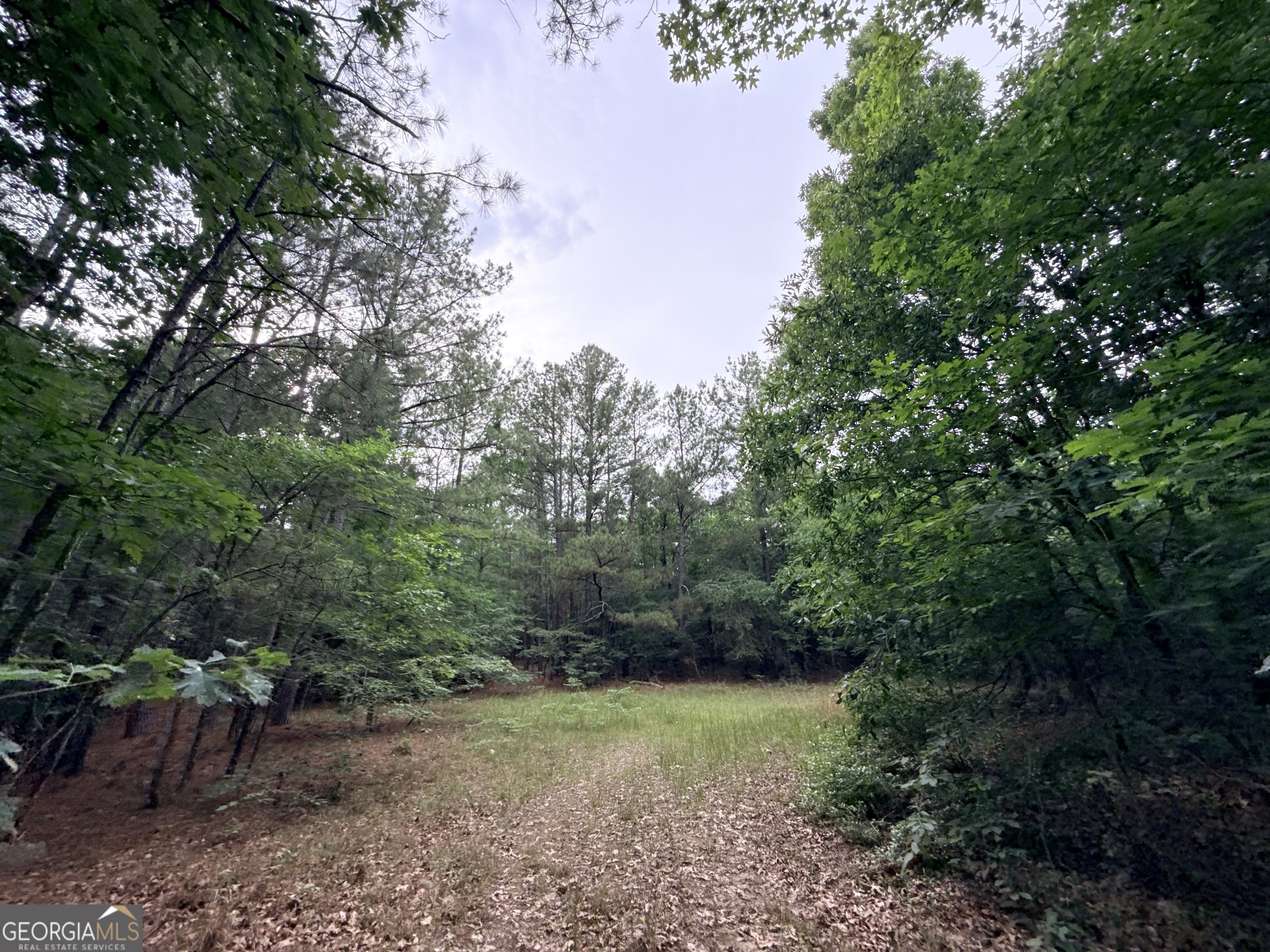 2 Bethesda Church Road Lexington, GA 30648 - Photo 17 of 66