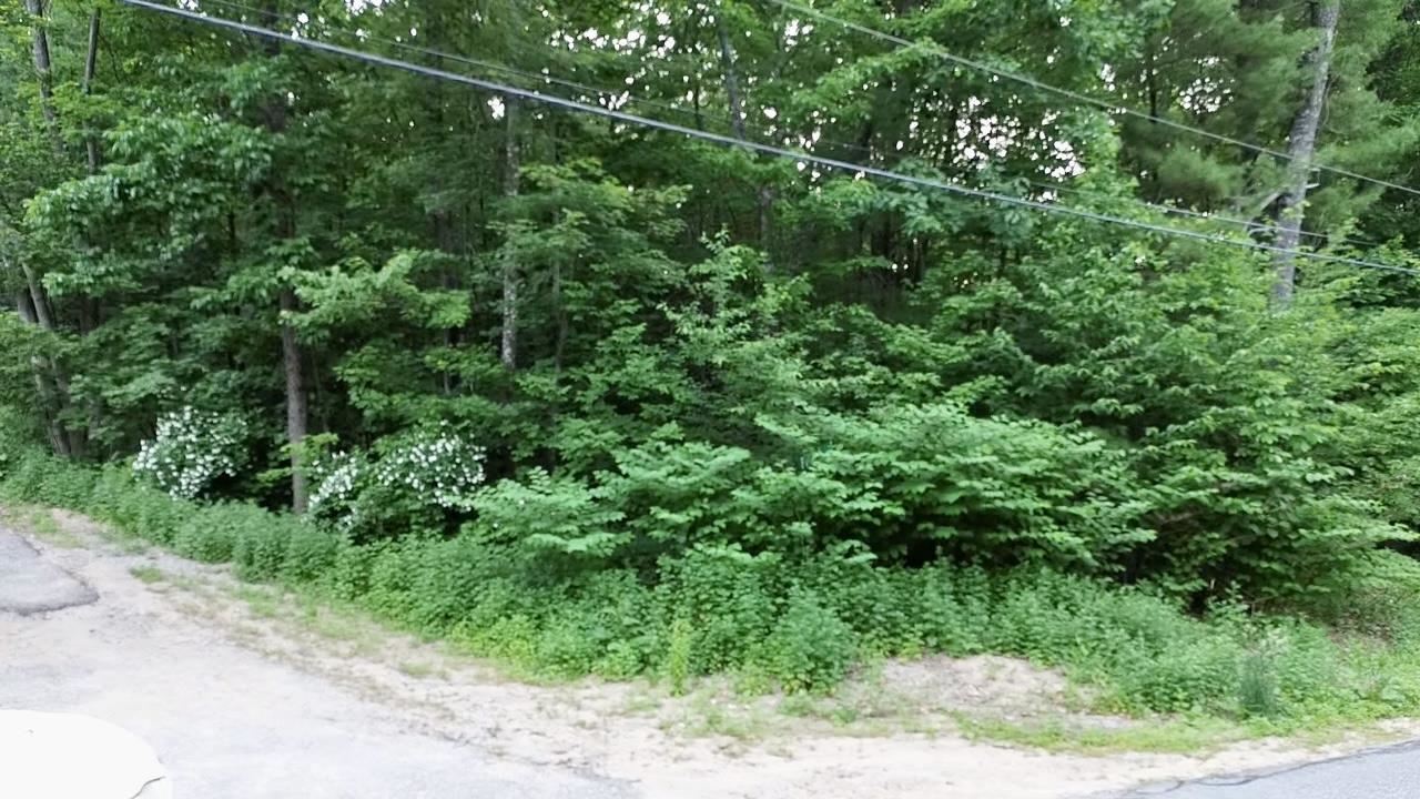 0 Mountain Road Lyndeborough, NH 03082 - Photo 3 of 4