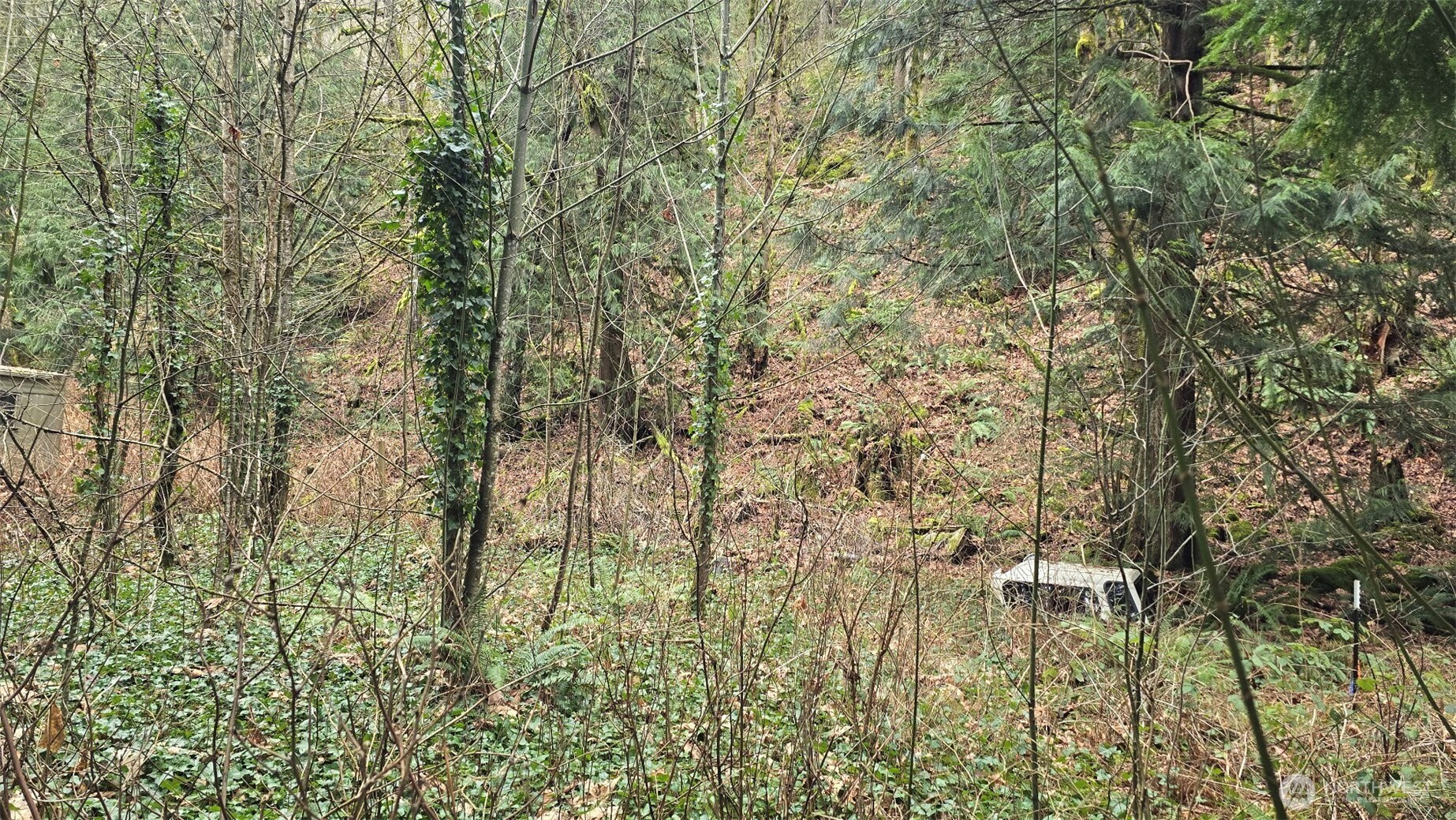 7884 Santa Fe Trail Maple Falls, WA 98266 - Photo 5 of 6