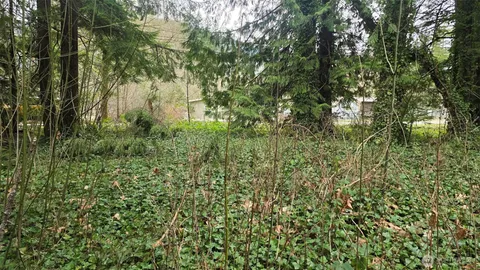 $99,000 | 7884 Santa Fe Trail, Maple Falls, WA 98266