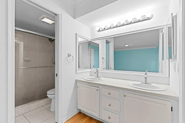a bathroom with a double vanity sink mirror and toilet