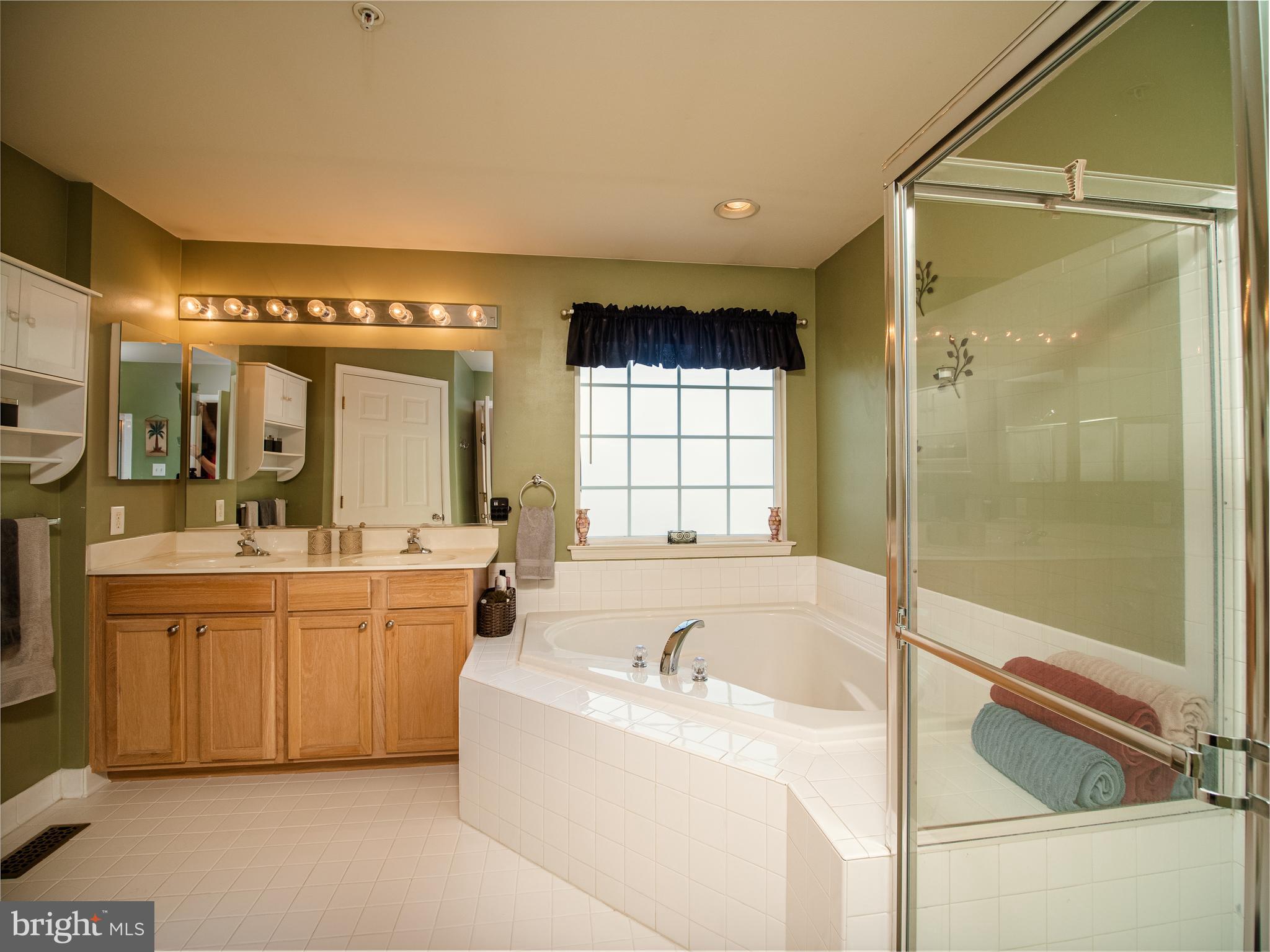 1008 Railbed Drive Odenton, MD 21113 - Photo 18 of 37 Master bathroom