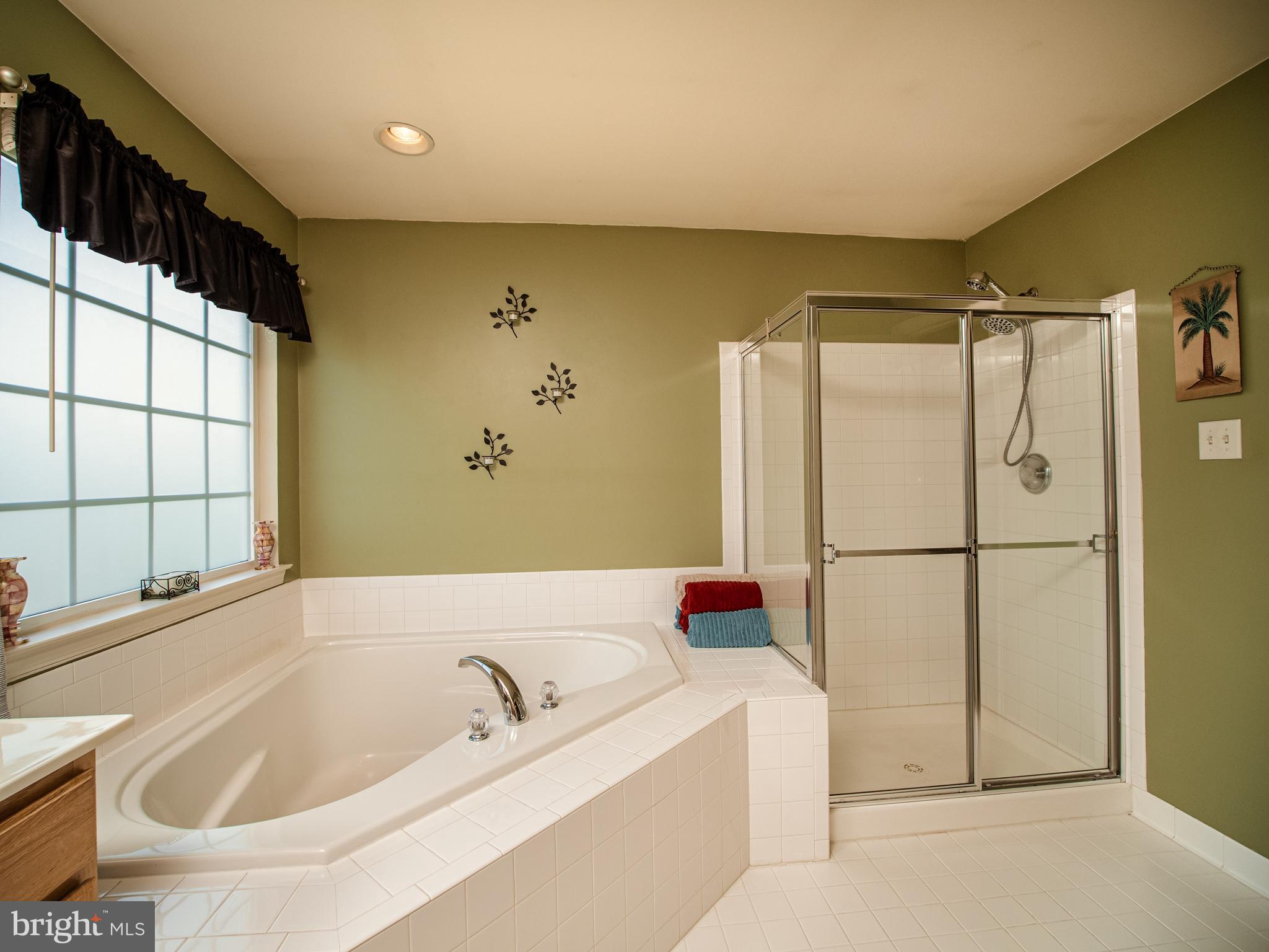 1008 Railbed Drive Odenton, MD 21113 - Photo 19 of 37 Choose a shower or a soaking tub!