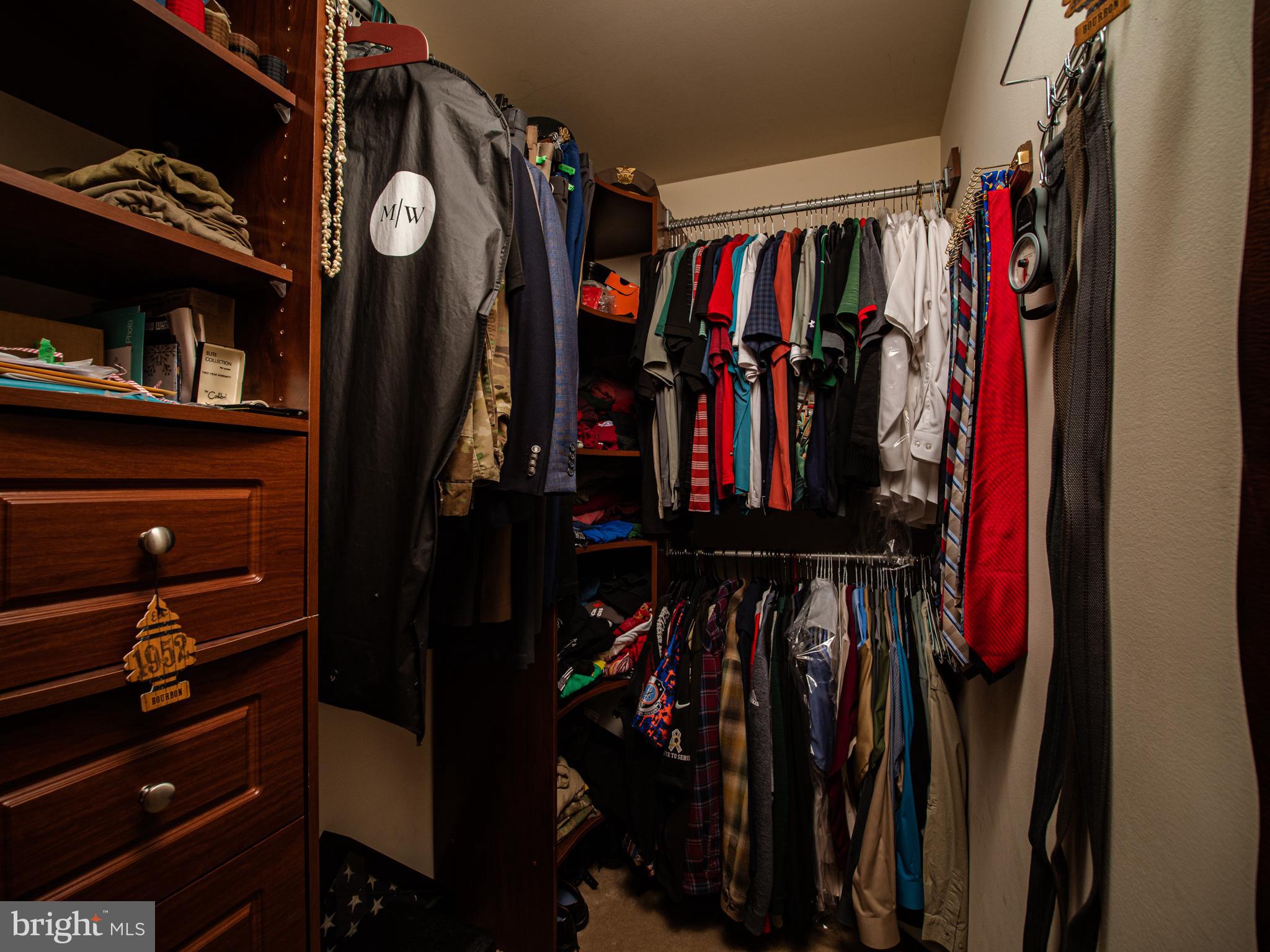 1008 Railbed Drive Odenton, MD 21113 - Photo 20 of 37 1 of 2 closets in master with organization