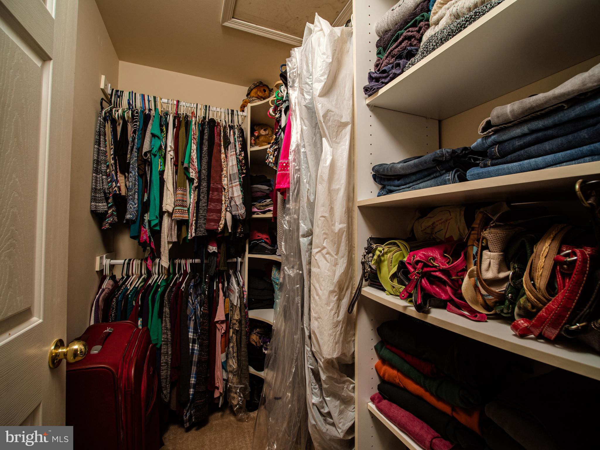 1008 Railbed Drive Odenton, MD 21113 - Photo 21 of 37 2 of 2 closets in master with organization