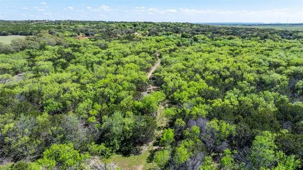 a view of a bunch of trees