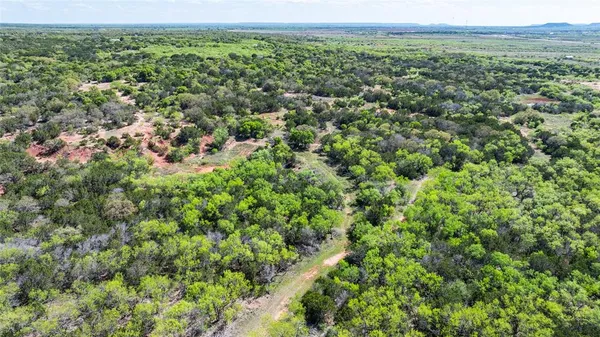 a view of a green field with lots of bushes