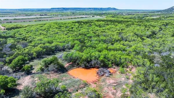 a view of a lush green field
