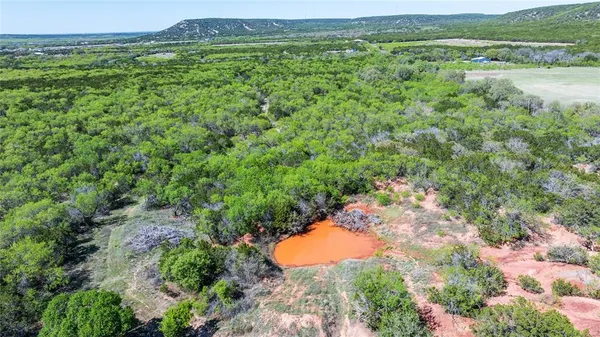 a view of a lush green forest with lots of trees