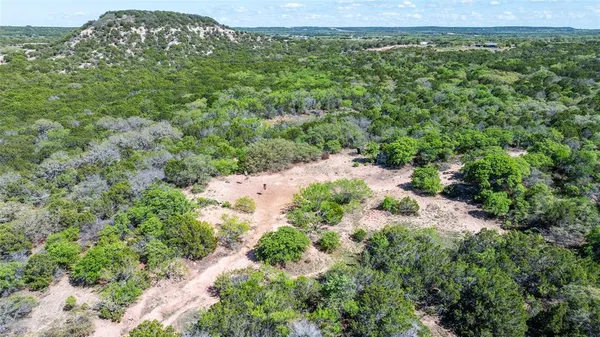 a view of a lush green forest with lawn chairs